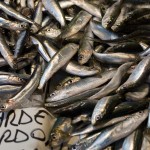 Sardine, Pescheria (fish market), Rialto Markets