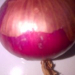 Rosanna Pink Onion