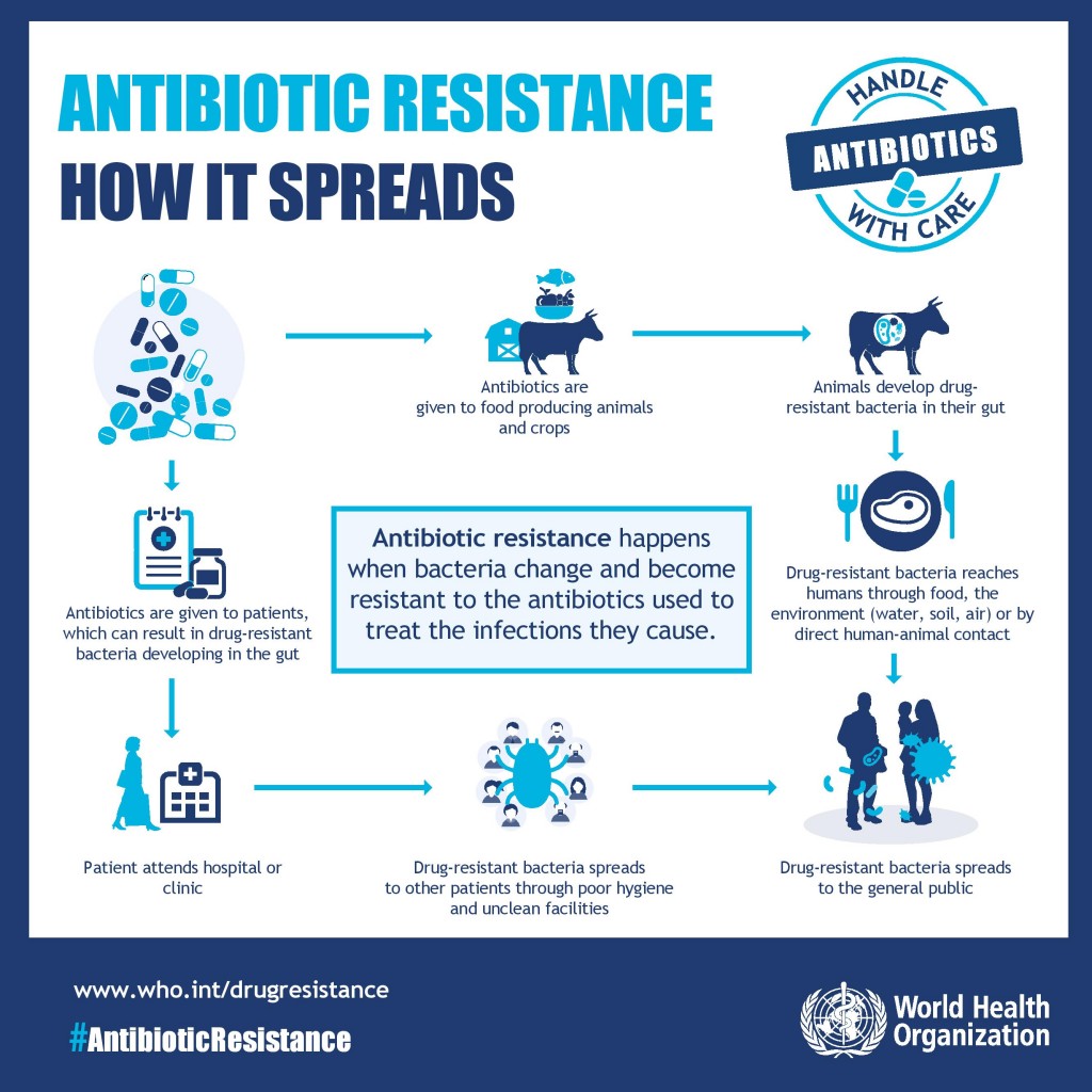 How antibiotic resistance spreads
