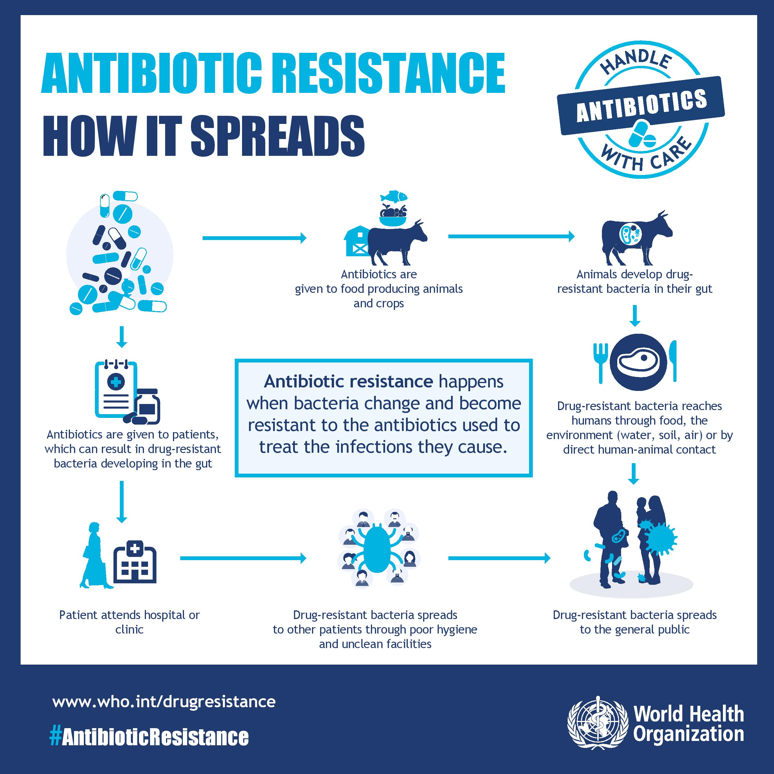 Antibiotic Resistance Part Two How Antibiotic Resistance Spreads