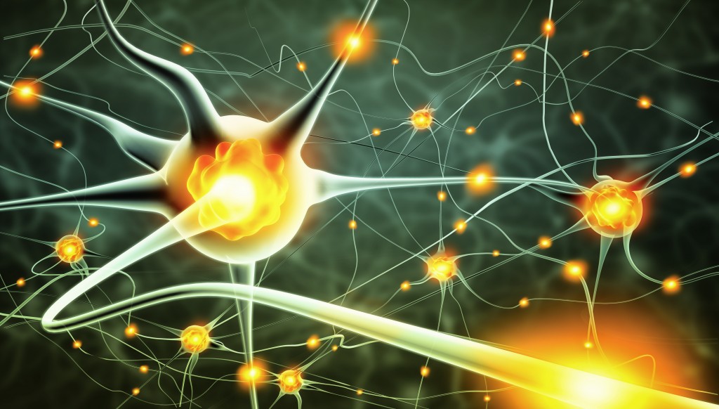 Neurons and nerve pain