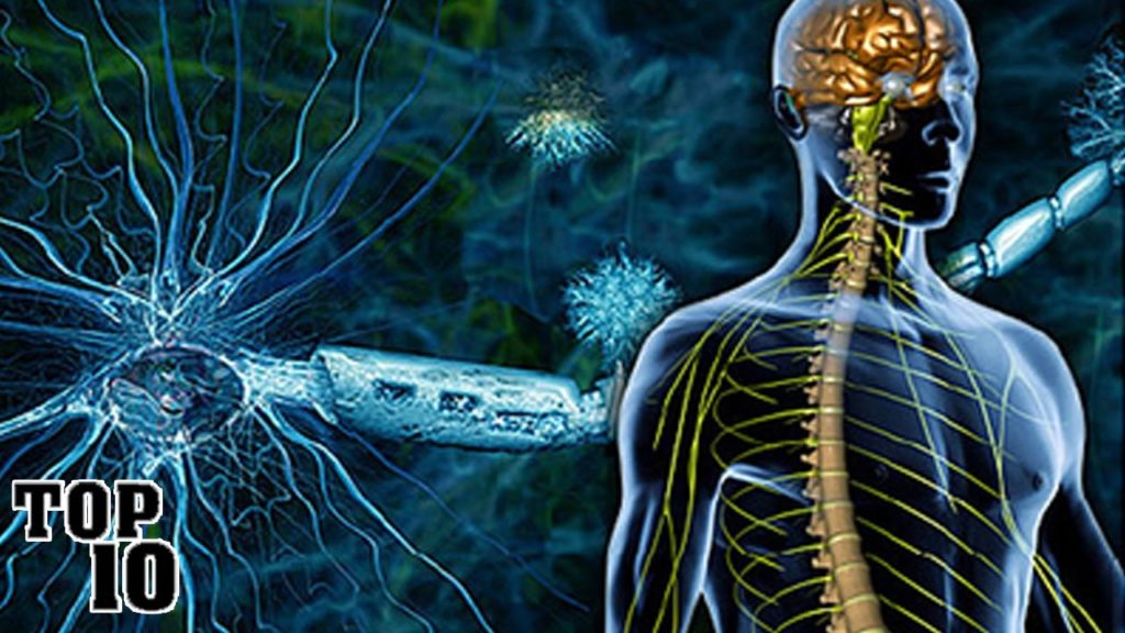 Top 10 Multiple Sclerosis Facts You Should Know
