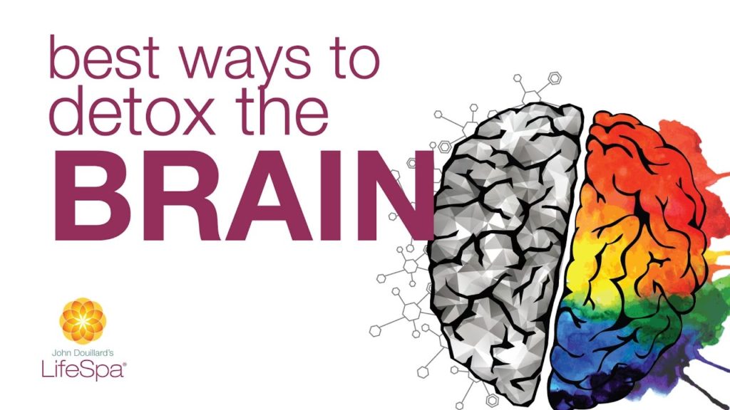 Best Ways to Detox the Brain