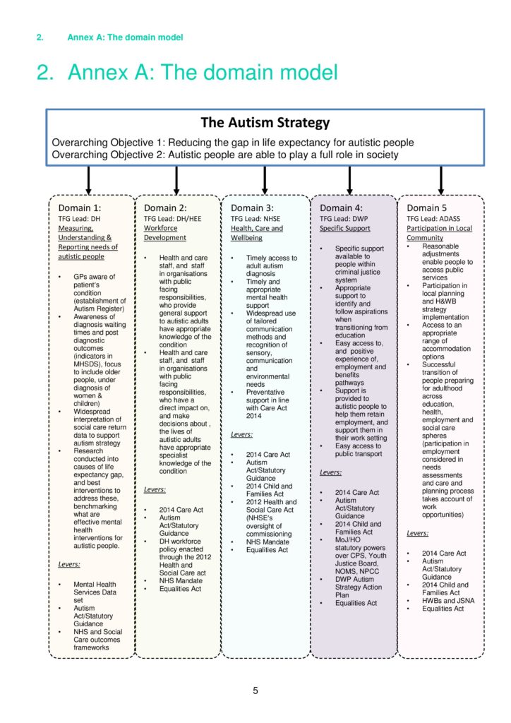 Think Autism Governance Strategy