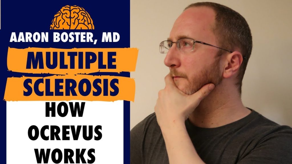 How Ocrevus works in Multiple Sclerosis