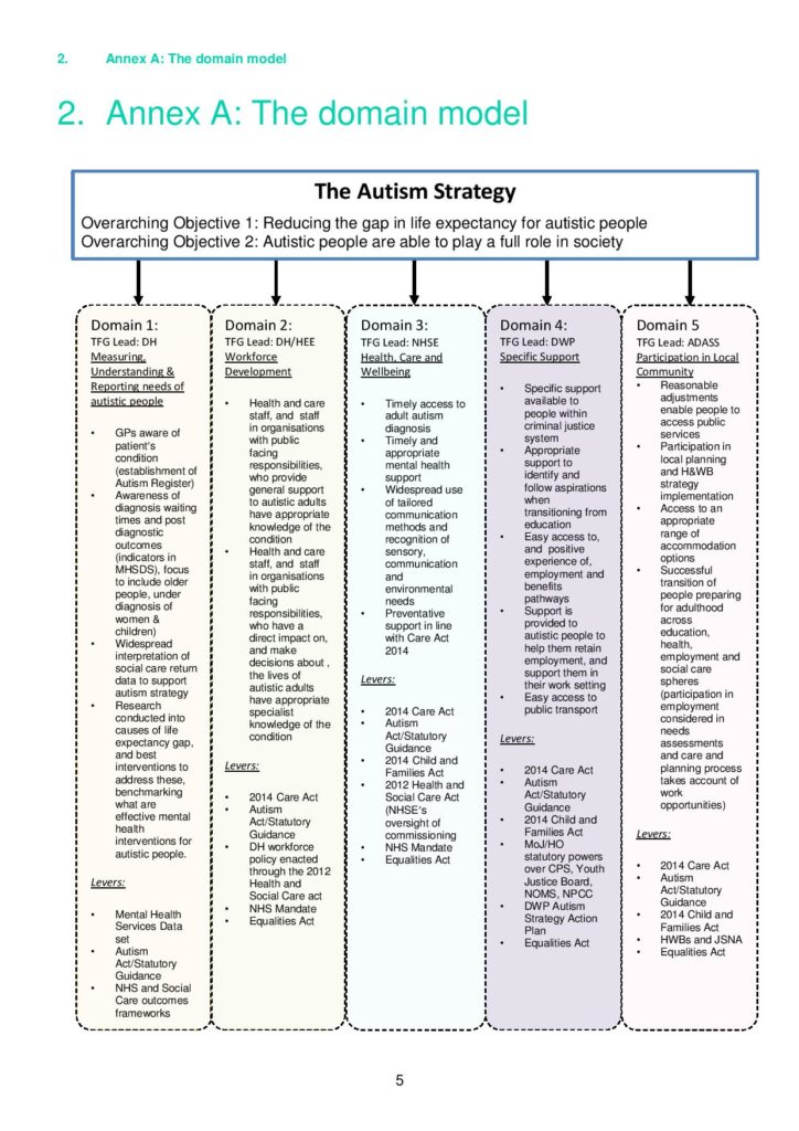 Think Autism strategy governance refresh 