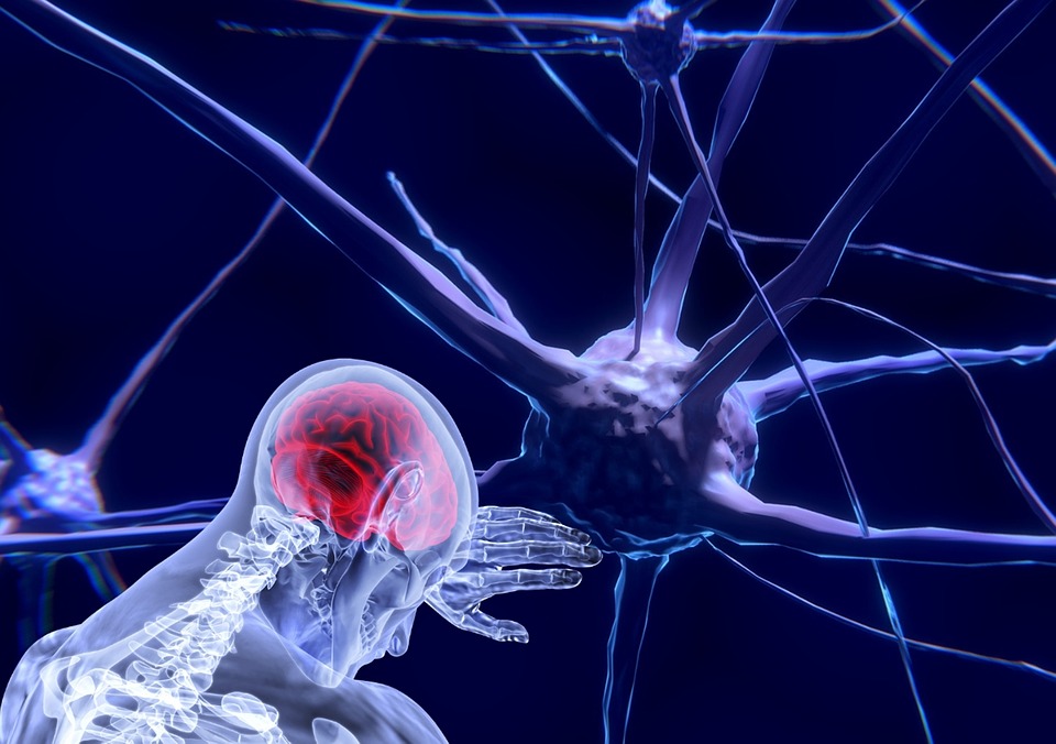 Multiple sclerosis and neural membranes